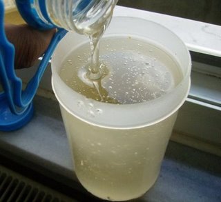 [invert2[1].JPG]